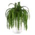Fern Plant Set - Thumbnail 7
