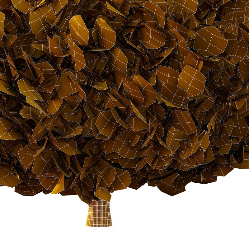 Juniperus scopulorum Tree 01 - Image 1