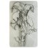 Decorative Plaster - Thumbnail 2
