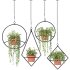 Boho Hanging Plants 03 - Thumbnail 3