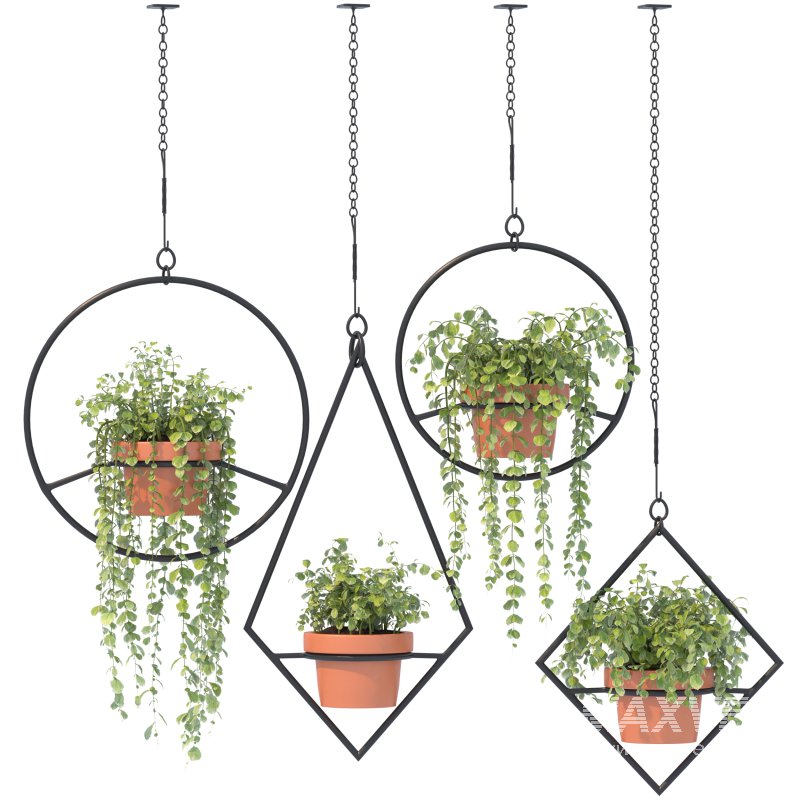 Boho Hanging Plants 03 - Image 3