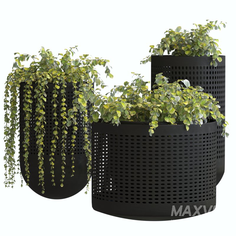 Metal Plant Set 02 - Image 6