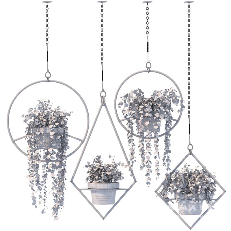 Boho Hanging Plants 03 - Image 5