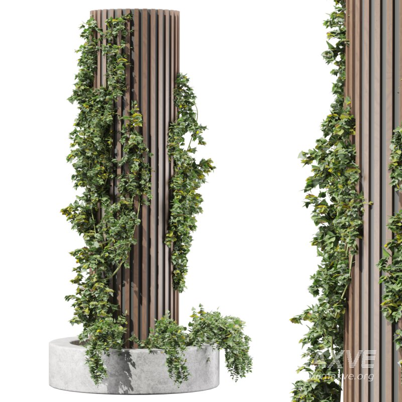 Ivy column - Image 3