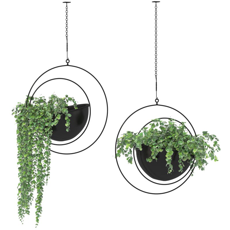 Metal Hanging Plants 03 - Image 2
