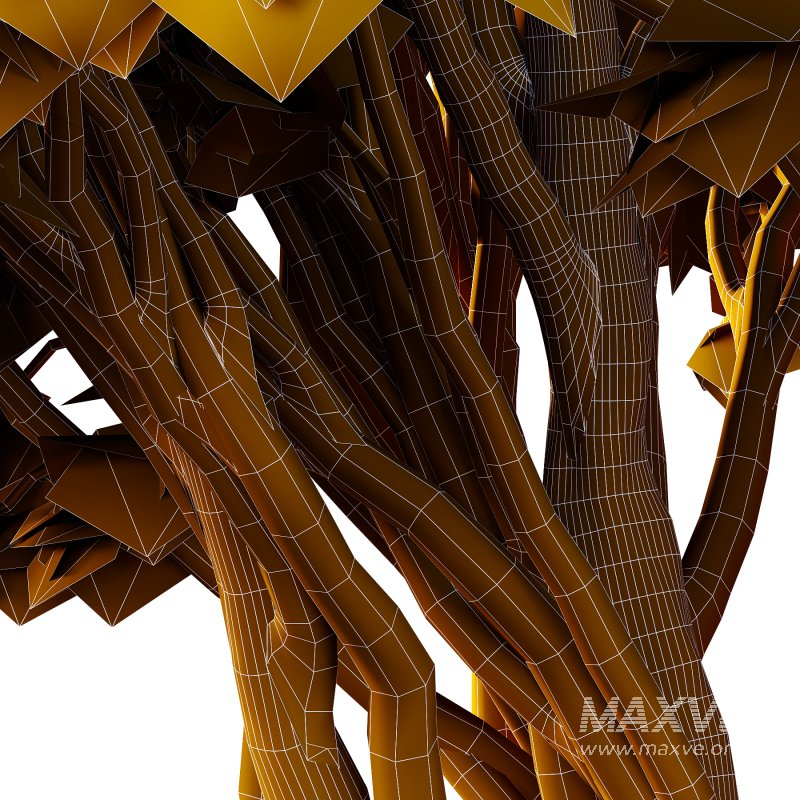 Different Trees 24 - Image 1