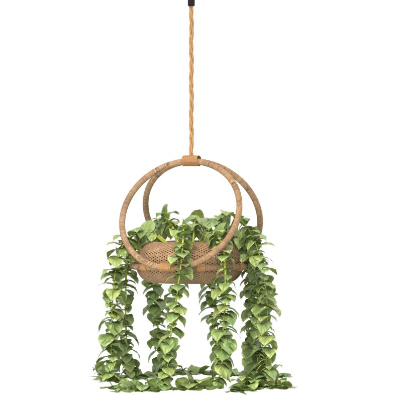 boho hanging plant 02 - Image 3