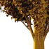 fagus sylvatica tree 04 - Thumbnail 3