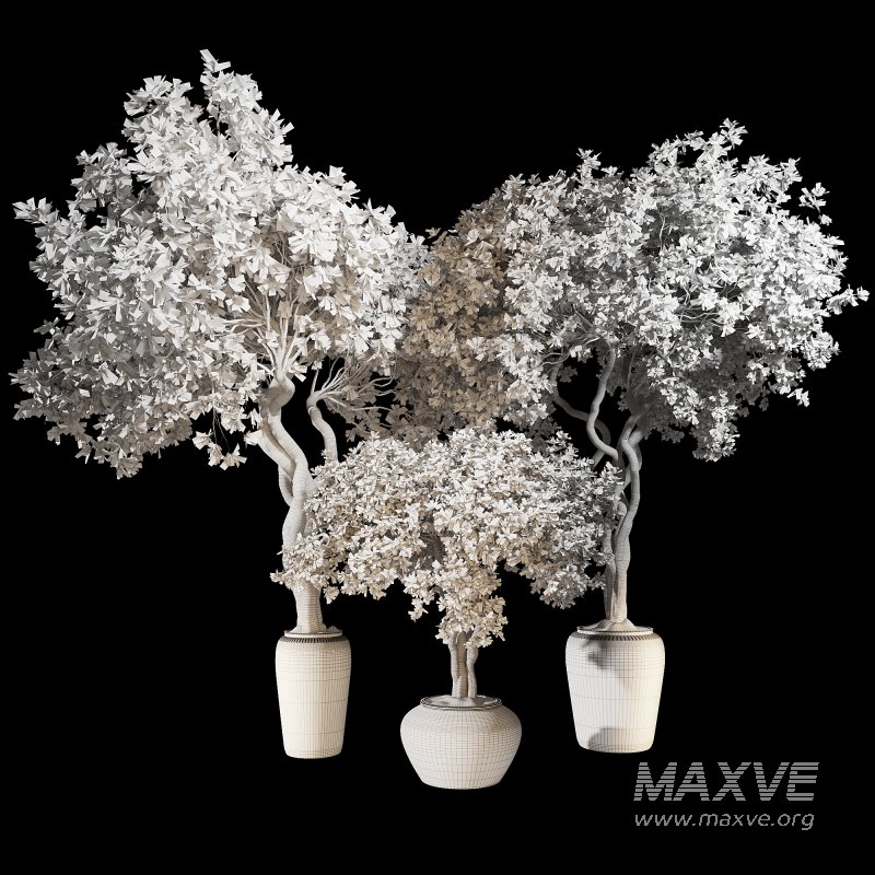 Indoor Plant Set 04 - Image 5