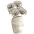 Minimal Pampas Bouquet in Vase - Thumbnail 2