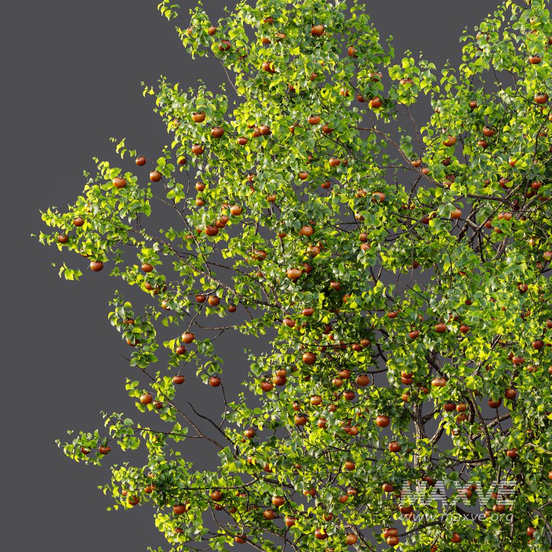 ntal and productive garden designs. - Image 12