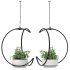 Metal Hanging Plants 04 - Thumbnail 1