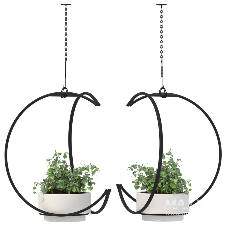 Metal Hanging Plants 04 - Image 1
