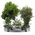 Outdoor plants set 02 - Thumbnail 1