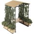 Ivy Plants Garden and Gazebo Swing 02 - Thumbnail 1