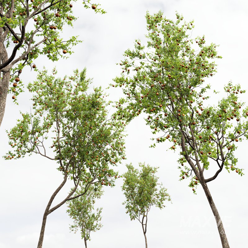 ntal and productive garden designs. - Image 10