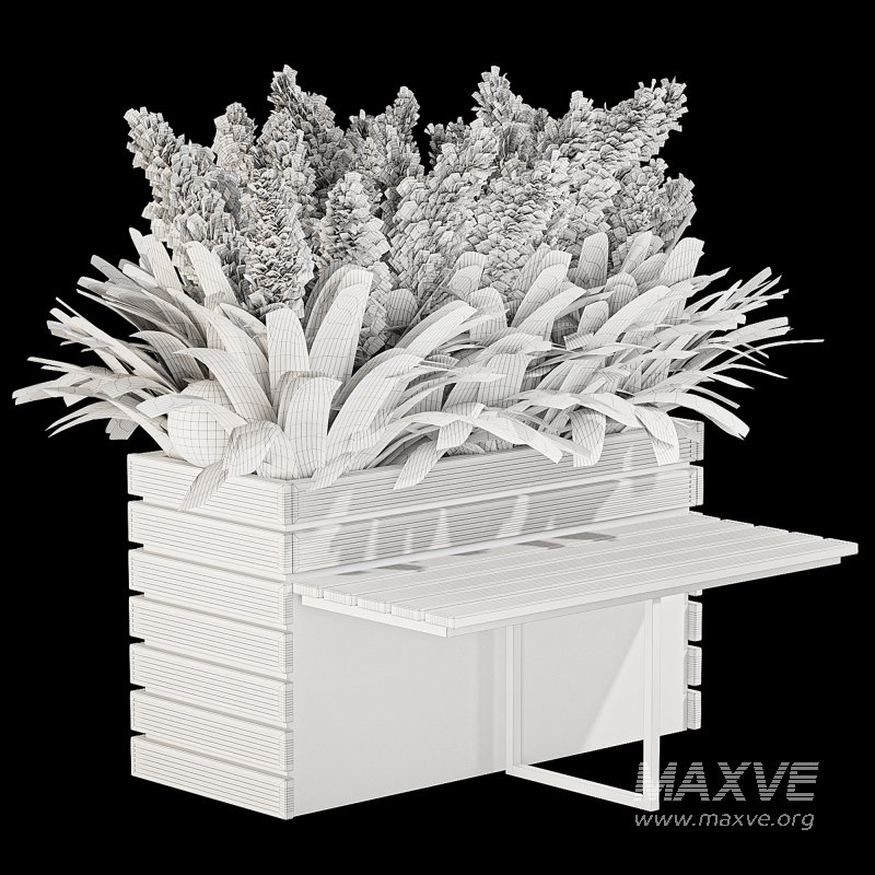 Outdoor Pampas And Grass Plants Set - Image 4