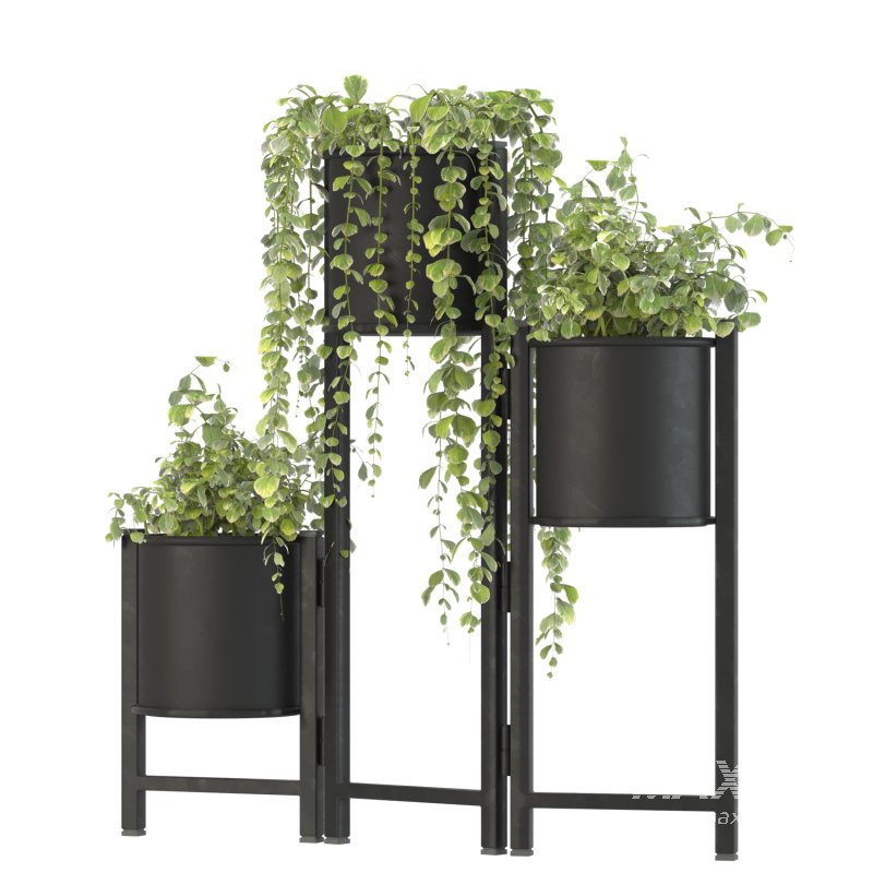 Plant Set 03 - Image 4