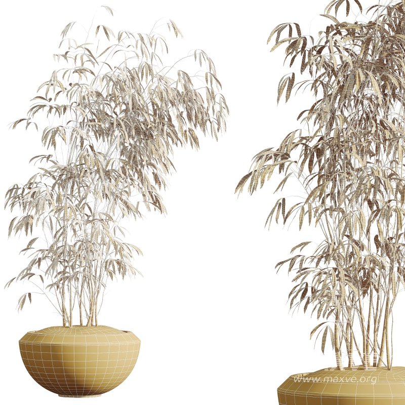 AV Indoor Plants Set 300 Japandi Decorative Minimalism Ficus Dracaena Marginata - Image 9