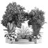 Outdoor plants set 02 - Thumbnail 6