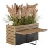 Outdoor Pampas And Grass Plants Set - Thumbnail 2