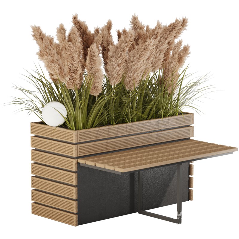 Outdoor Pampas And Grass Plants Set - Image 2