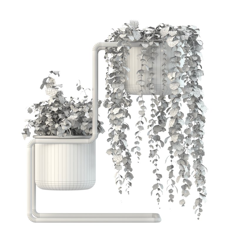 Plant Set 04 - Image 2