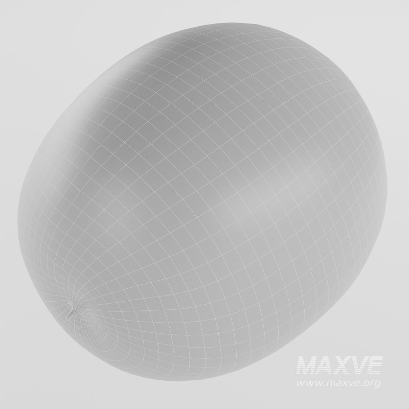 Watermelon - Image 4