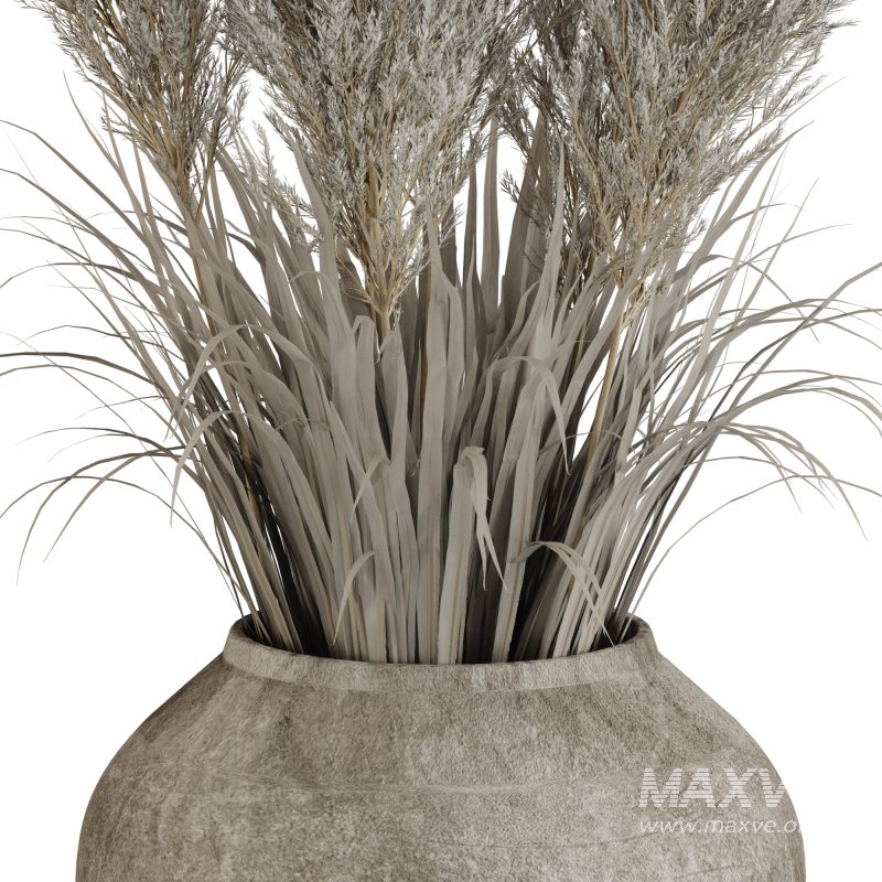 Minimal Pampas Bouquet in Pottery Vase 02 - Image 4