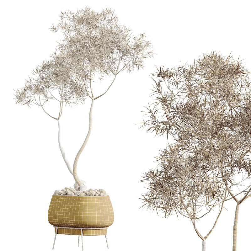 AV Indoor Plants Set 306 Japandi Decorative Minimalism Ficus Dracaena Marginata - Image 8