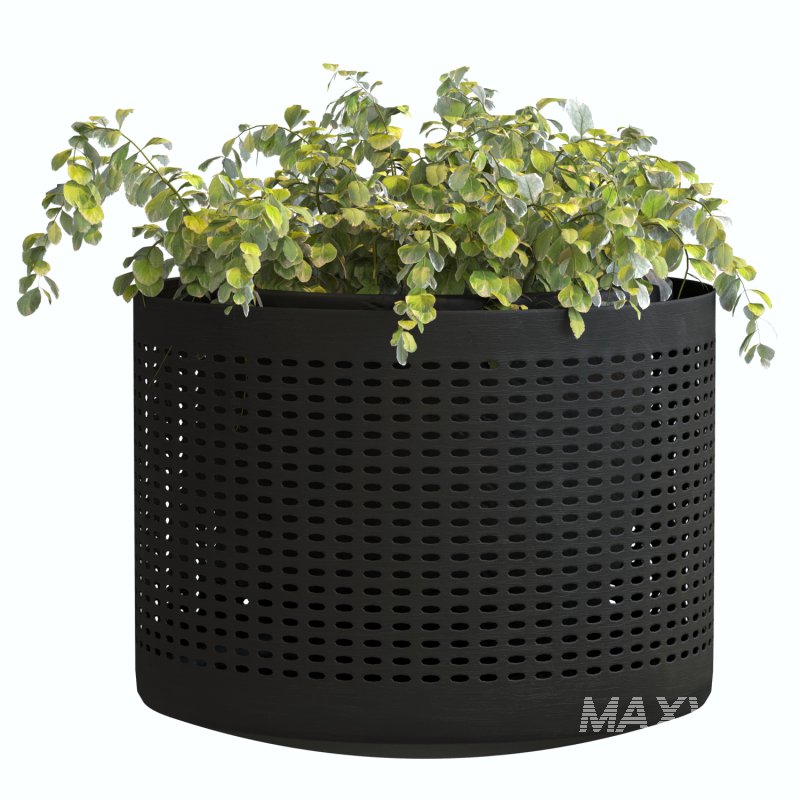 Metal Plant Set 02 - Image 3