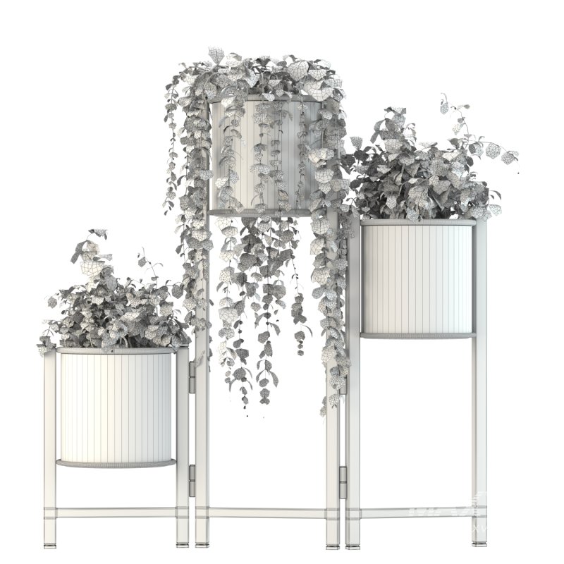 Plant Set 03 - Image 2