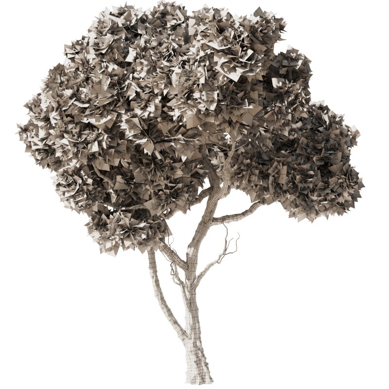 Pine tree Set35 - Image 4