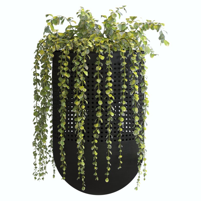 Metal Plant Set 02 - Image 5