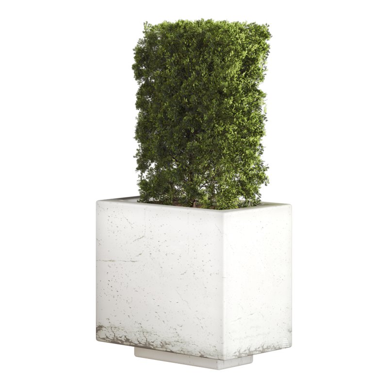 Hedge Set 01 - Image 4