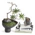 Vase and Plant Decorative - Thumbnail 1