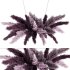 Ceiling Pampas Grass 02 - Thumbnail 1