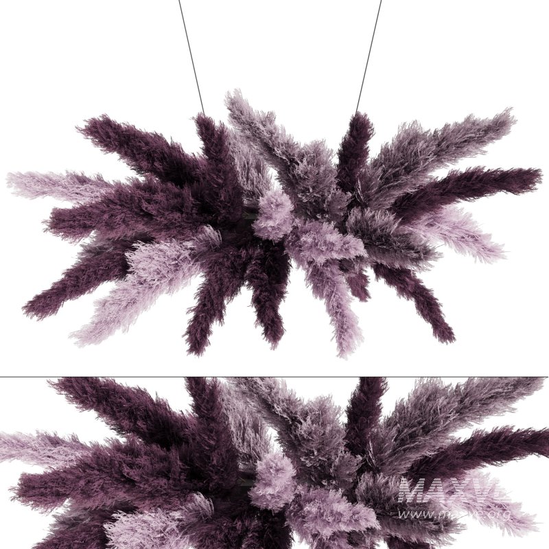 Ceiling Pampas Grass 02 - Image 1