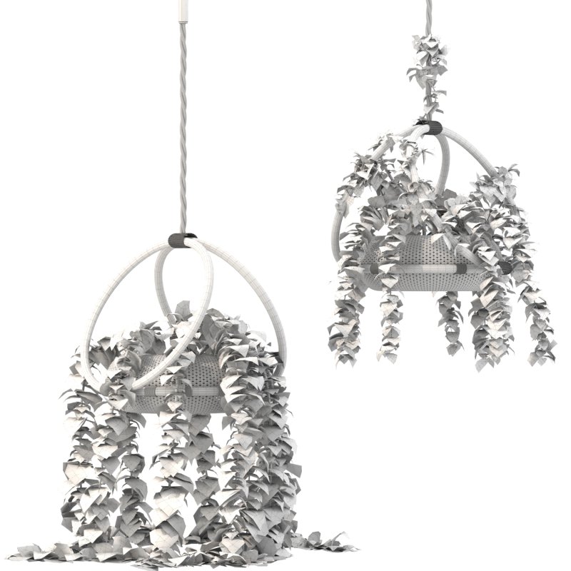 boho hanging plant 02 - Image 5