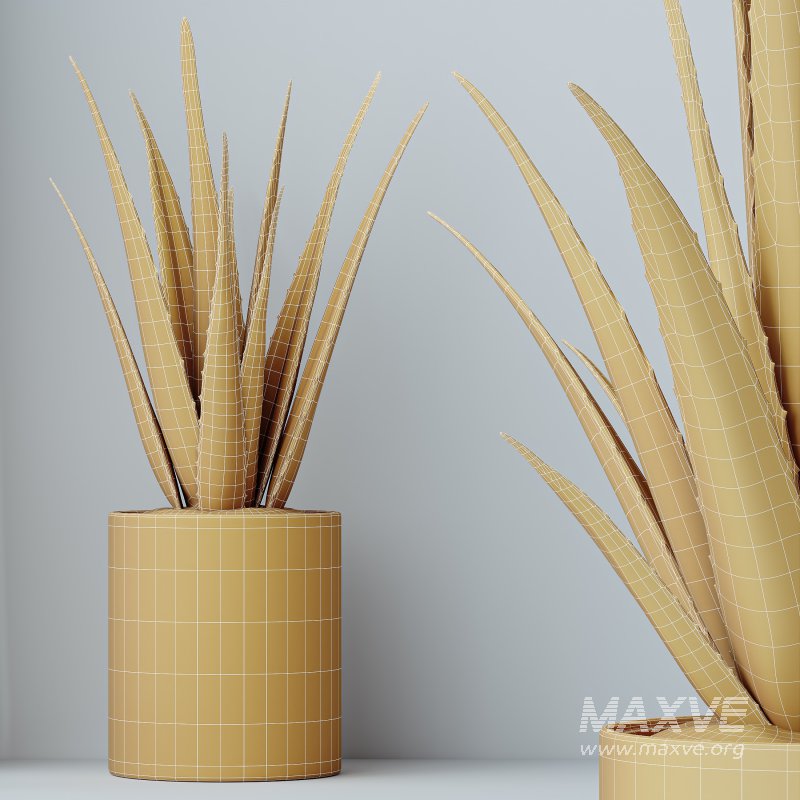 indoor plant set - Image 12