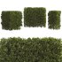 Hedge Set 01 - Thumbnail 6