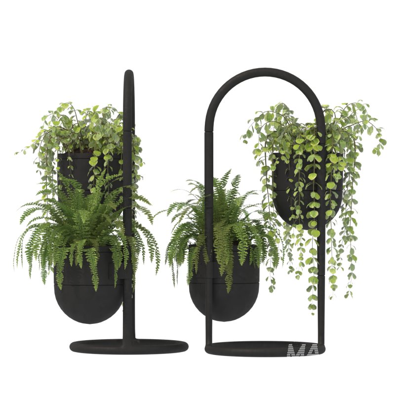 Metal Plant Set 01 - Image 4