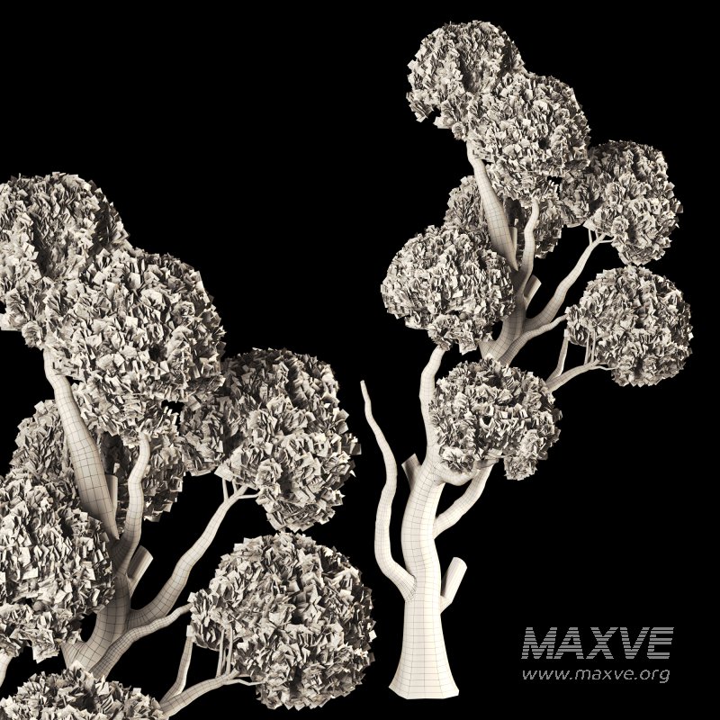 Topiary Ball Tree - Image 5