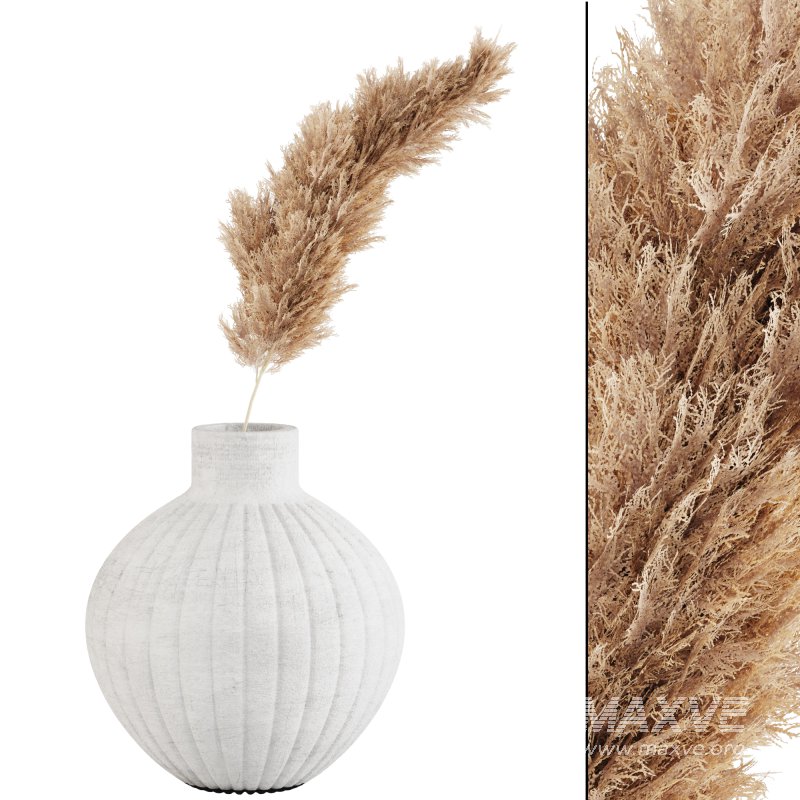 Pampas and Wheat Plant in Decorative Vase - Image 3