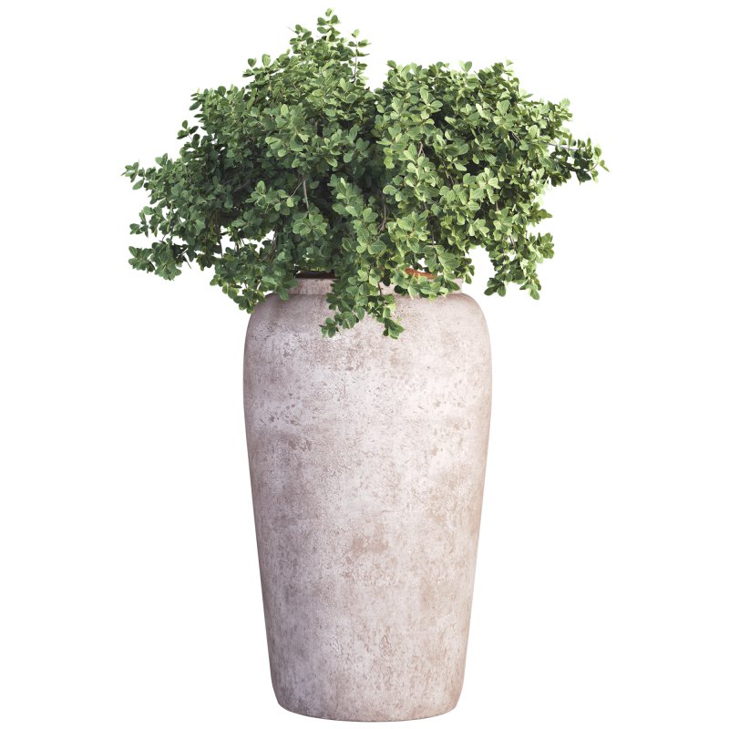 Outdoor Plant 010 - Image 3