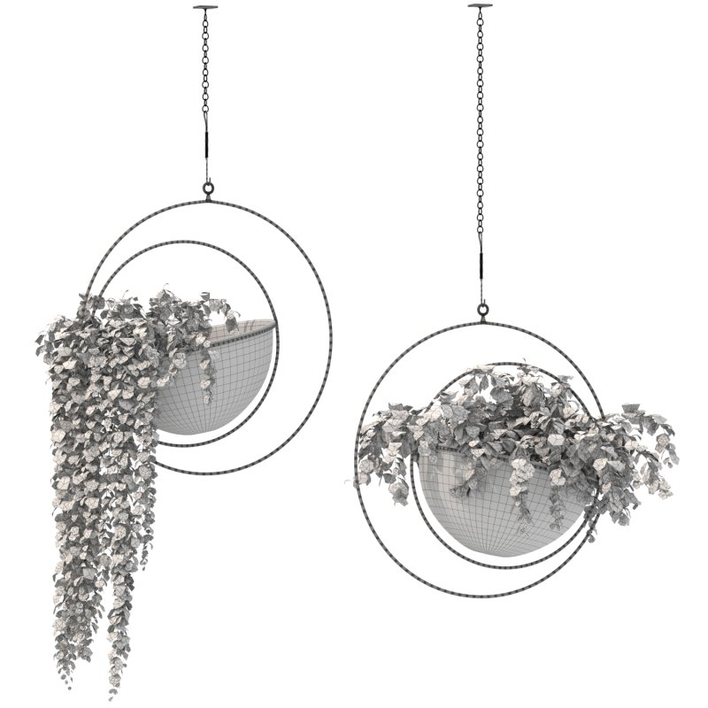 Metal Hanging Plants 03 - Image 1