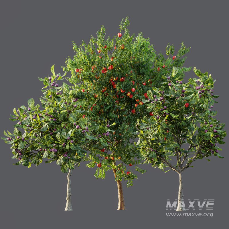 ntal uses. - Image 10