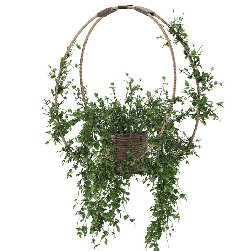 Hanging Wicker Pot - Image 6