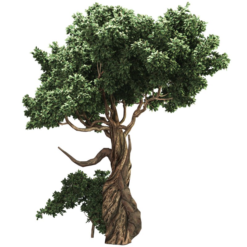 Jungle Tree and ivy plants 03 - Image 2