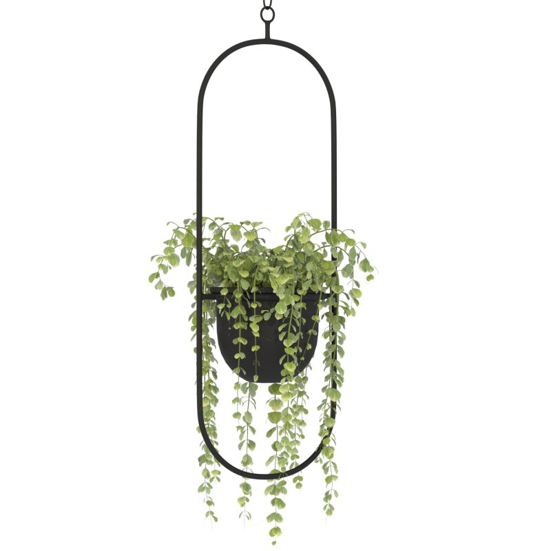 Metal Hanging Plants 01 - Image 1